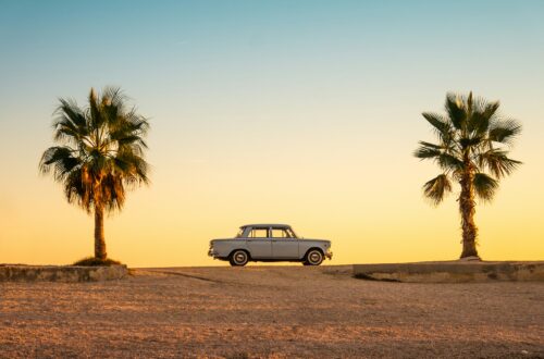 Sommer 2 Palmen mit Auto