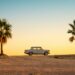 Sommer 2 Palmen mit Auto